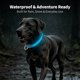thumbnail image 4 of Collar para perros LIT&GO de 7 colores luminosos recargable por USB‑C, 4 of 8