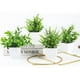 thumbnail image 2 of Plantas artificiales norplat 4 uds macetas, 2 of 3