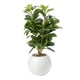 thumbnail image 1 of Planta Artificial Ficus Decorativa Maceta Decoracion Hogar blanco, 1 of 9