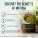 thumbnail image 2 of Matcha en polvo, hoja de jade, de grado culinario, orgánico, 100 g, 2 of 6
