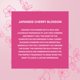 thumbnail image 5 of Perfume Jones New York, flor de cerezo japonés, 100 ml, 5 of 5