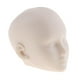 thumbnail image 1 of 1: 6 Figura De Acción Cabeza De Muñeca Referencia Esculpir Maquillaje Práctica Piel Blanca, 1 of 3