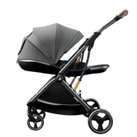 Coche De Paseo Modo Apego Y Panorámico Gris Lubabycas