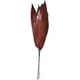 thumbnail image 1 of Arreglo Decorativo Ramo Aspidistra Rojo Seco 6 Piezas, 1 of 3