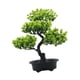 thumbnail image 4 of bonsái artificial, plantas de imitación, decoración de jardín en maceta de bienvenida para interiores, decoración de plantas falsas pequeñas Verde claro, 4 of 5