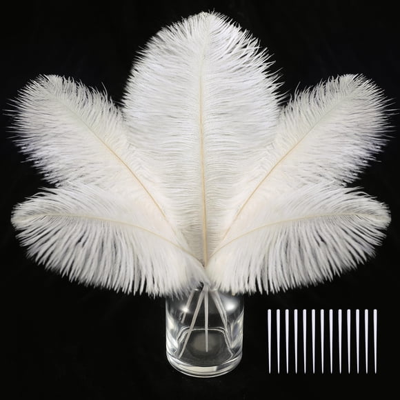 Plumas de avestruz SOGUGOM 30 piezas 20-25 cm color marfil