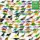 thumbnail image 1 of Figuras de plástico OuMuaMua de Dinosaur Toys para niños, paquete de 78 unidades, 1 of 8