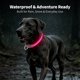 thumbnail image 4 of Collar para perros LIT&GO de 7 colores con luz y recargable USB‑C, 4 of 8