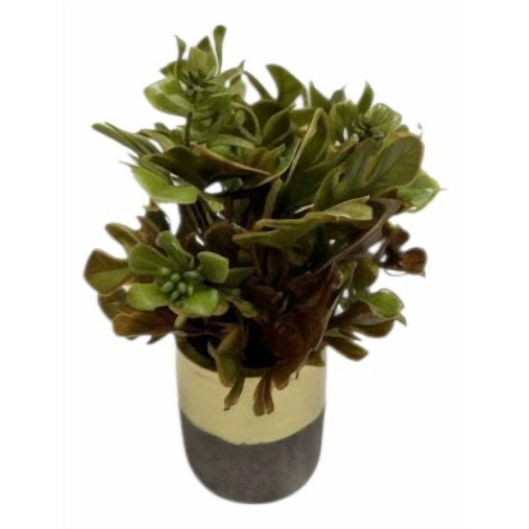Genérico - Set 2 Plantas Artificiales Decorativas Macetero Bicolor Jhn