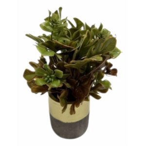 Genérico - Set 2 Plantas Artificiales Decorativas Macetero Bicolor Jhn