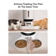thumbnail image 2 of Comedero automático para gatos PETLIBRO 5L WiFi para 2 gatos o perros, 2 of 8