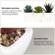 thumbnail image 3 of Juego de 3 suculentas artificiales pequeñas, decoración moderna para el hogar, la mesa, la oficina, el escritorio, el baño y los estantes., 3 of 5