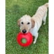 thumbnail image 4 of Bola para perros Jolly Pets, tamaño mediano, 15 cm, roja, para perros de 9 a 27 kg, 4 of 4