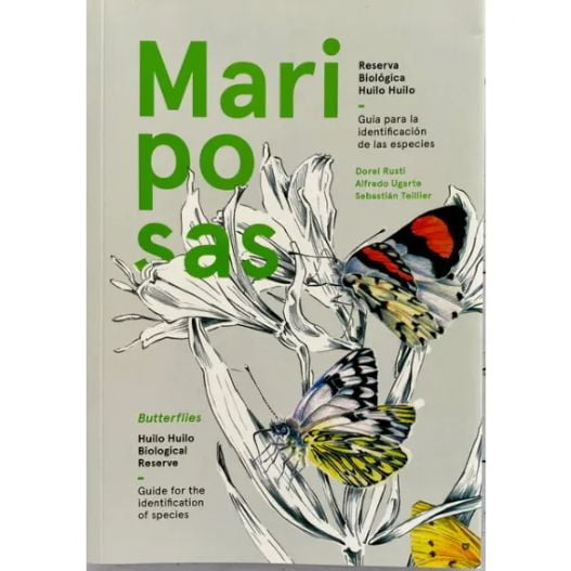Mariposas Guia Para La Identificacion De Las Especies