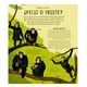 thumbnail image 4 of La Sorprendente Vida De Los Animales, 4 of 5