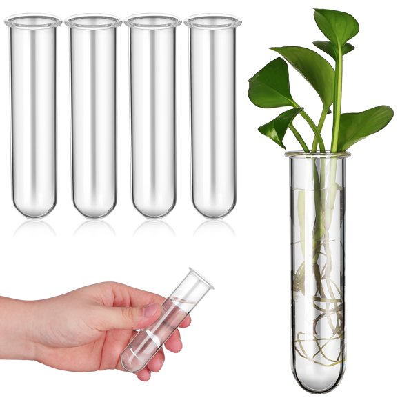 Set de 5 Tubos de Ensayo de Vidrio para Propagación de Plantas Tablzone