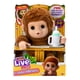 thumbnail image 1 of Peluche Bebe Mono, 1 of 4