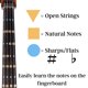 thumbnail image 4 of Guía de dedos para violonchelo FFG NOTE THE DIFFERENCE 3/4, 4 of 6