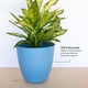 thumbnail image 4 of Maceta Bloem Dayton 6 de plástico reciclado azul océano, 4 of 6