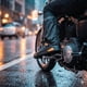 thumbnail image 1 of Funda Impermeable Para Zapatos Moto Riders, 1 of 4