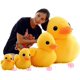 thumbnail image 3 of Peluche Bansusu Yellow Duck de 30 cm para decoración de sofás infantiles, 3 of 6