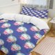 thumbnail image 3 of Astronaut Hello Kitty Comforter Twin SizeComforter Set for Kids Girls3Pcs Bedding Set Printed Comforter with 2 PillowcasesDown AlternativeSoft and Lightweight Bed Sheets, 3 of 5
