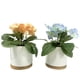 thumbnail image 1 of Primavera artificial, 1 of 8