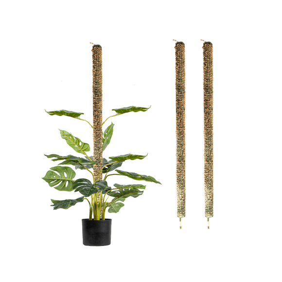 Pack 3 tutor musgo 100cm