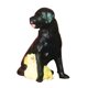 thumbnail image 4 of 1/64 Miniatura Perro Mini Figura Mu?eca Escena Callejera Modelo StyleA Negro Amarillo, 4 of 5