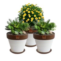 Mestiza - Set De 3 Maceta Kony 24Cm Morena Blanco Y Sus Platos