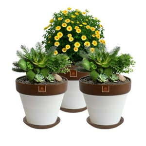 Mestiza - Set De 3 Maceta Kony 24Cm Morena Blanco Y Sus Platos