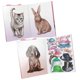thumbnail image 3 of Topmodel Cute Animals Dress Me Up, 3 of 4