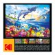 thumbnail image 5 of Rompecabezas RoseArt Kodak Premium Playful Summer Dolphins, 5 of 7