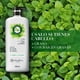 thumbnail image 3 of Acondicionador Herbal Essences Aaroma Té Verde & Menta, 600 ml, 3 of 6