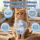 thumbnail image 3 of Probióticos Para Gatos Líquido Con Enzimas Digestivas 60 Ml, 3 of 6