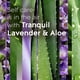 thumbnail image 3 of Recambios Glade Plugins para ambientador Tranquil Lavender & Aloe, 3 of 9