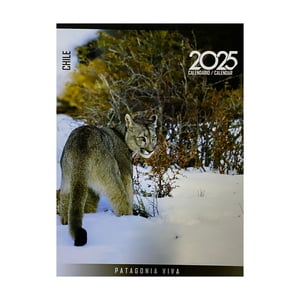 Top10Books - Libro Calendario Pared 2025 Patagonia Viva - Repopack