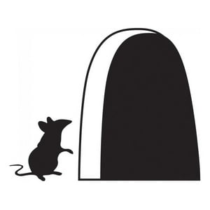 Rienda Libre Graphics - Decomural Mouse Hole Skirting Board Ws-44180