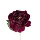 thumbnail image 2 of Peonia Burdeo 45cm Con Acabado Natural, 2 of 3