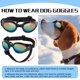 thumbnail image 4 of Gafas de sol para perros QUMY, protección contra viento, polvo y niebla, 4 of 7