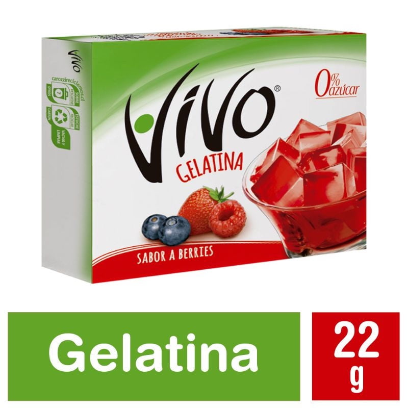 Gelatina Berries 22 g Vivo