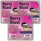 thumbnail image 1 of Paquete de muestras de 3 pasteles Heath Berry Blast de Suet Cakes, 1 of 2