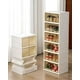 thumbnail image 3 of Zapatero - Organizador Doble 6 Niveles Para 12 Pares, 3 of 3