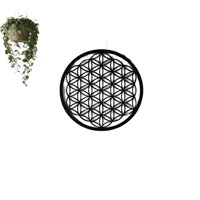 Genérico - Cuadro Mandala Flor De La Vida 60X60 Cm