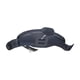 thumbnail image 4 of Arnés De Windsurf, Kayak, Deriva, Versátil, Antideslizante, Soporte Ajustable, XL, 4 of 5