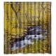 thumbnail image 1 of Cortina de ducha con diseño de arroyo en el bosque, con ganchos, 66 x 72 pulgadas, 1 of 3