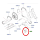 thumbnail image 2 of TENSOR DIST.INFERIOR, 2 of 2