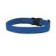thumbnail image 1 of Correa De Repuesto Para Valla Para Perros Guardian Gps 2 0 Y Collar De Rastreo, 1 of 6