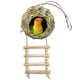 thumbnail image 1 of Nido colgante para pájaros, escalera mediana, caseta para pájaros tejida a mano con césped, jaula natural para patio, césped, jardín, decoración interior y exterior del hogar., 1 of 5