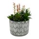 thumbnail image 3 of Planta Artificial 20cm, 1 unidad, 3 of 4